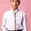 Boys Max Tie In Blush