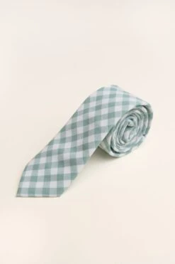 Mens Max Tie In Mint Gingham