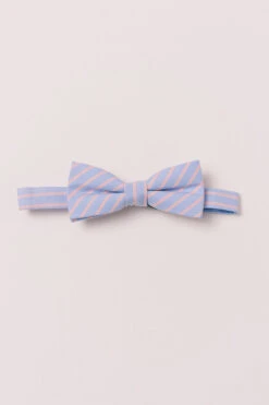 Baby Boys Henry Bow Tie In Sutton Pinstripe