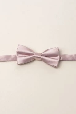 Baby Boys Henry Bow Tie In Blush